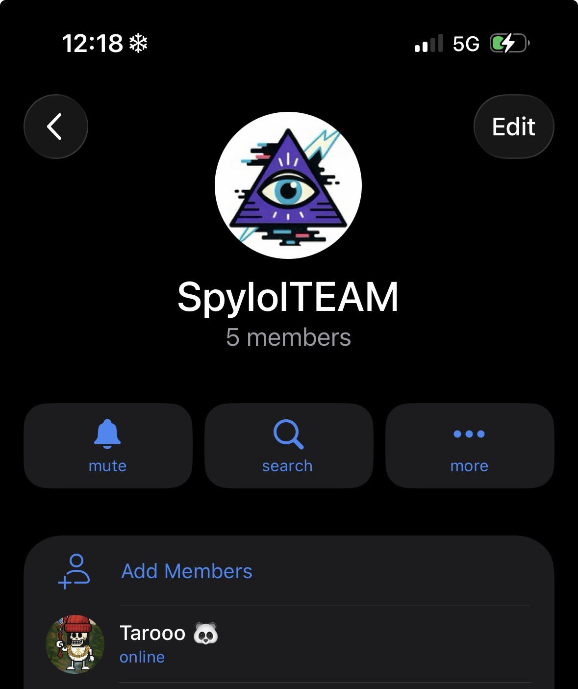 Team Chat Proof
